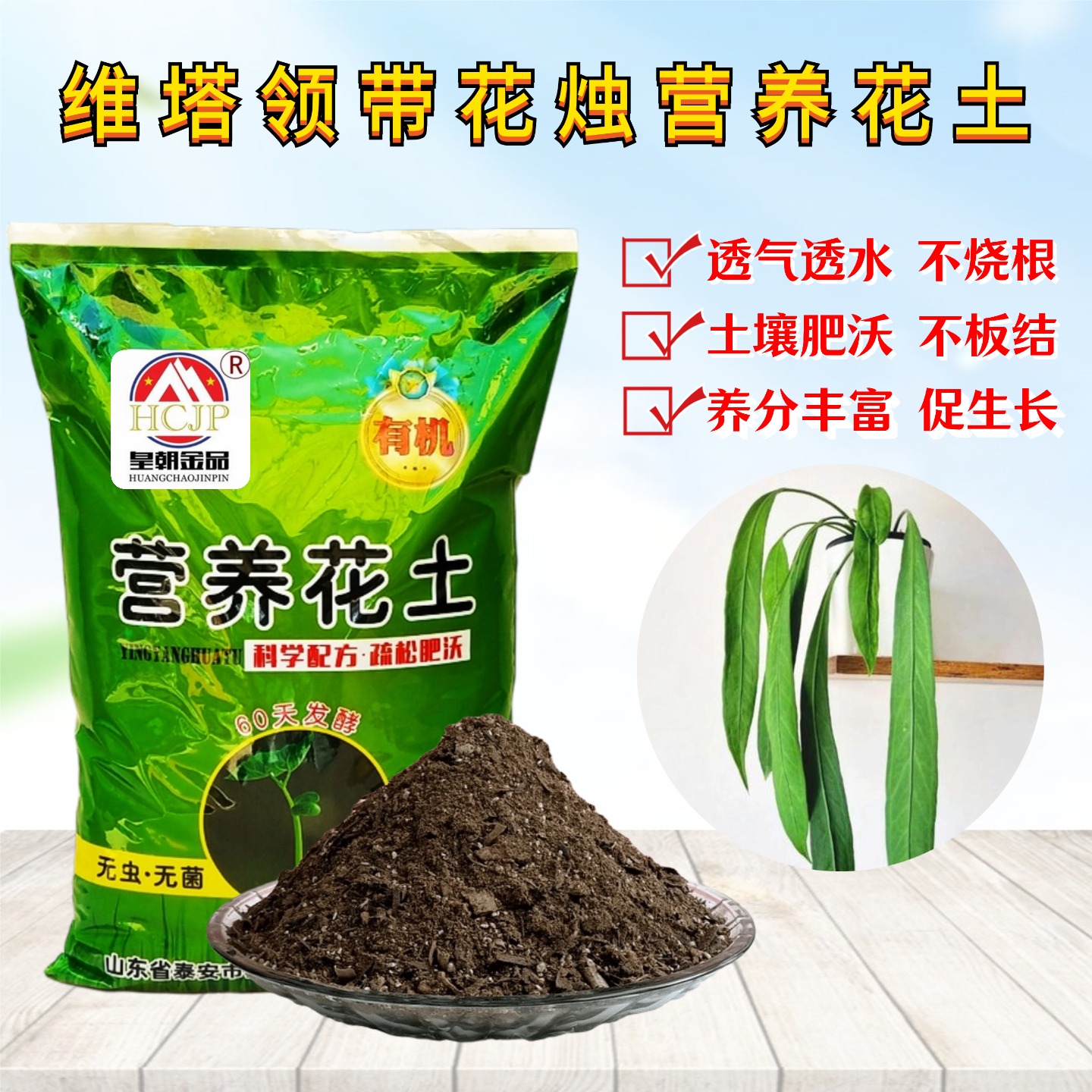 维塔领带花烛营养花种植土