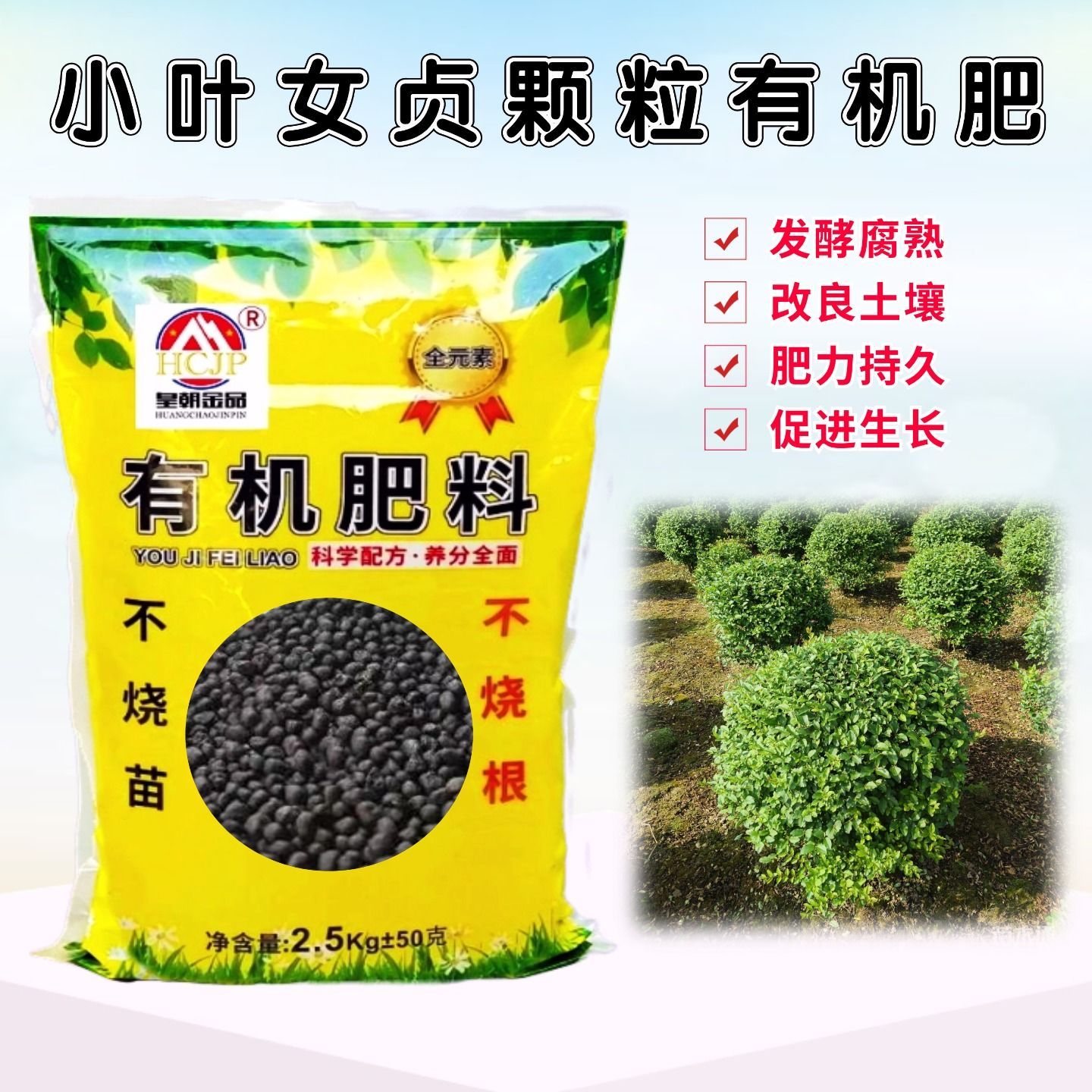 金叶小叶女贞生物有机肥造型老桩盆景地栽绿植专用发酵基底花肥料