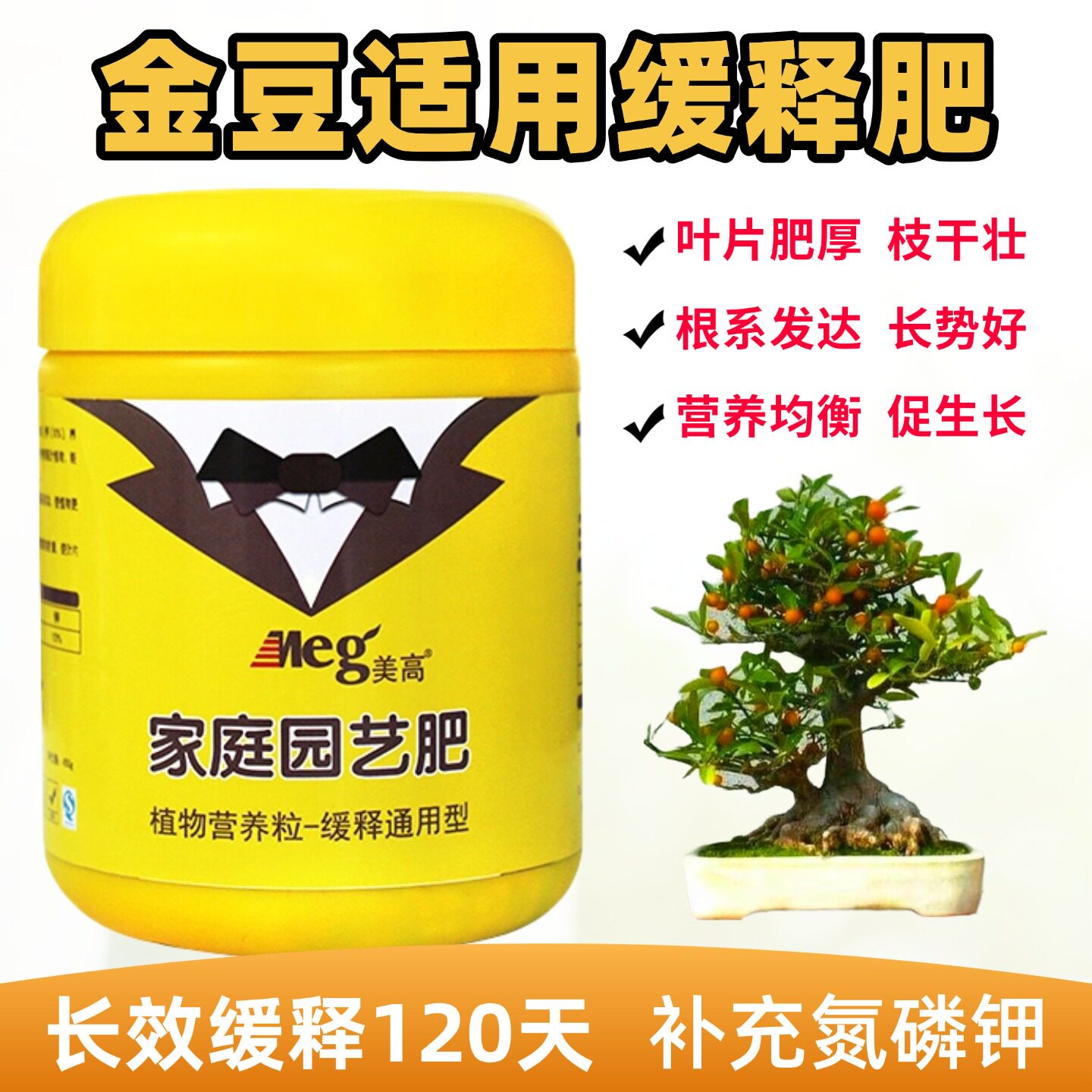 小叶金豆盆景缓释肥下山老熟桩室内客厅阳台盆栽绿植物专用花肥料