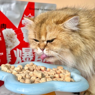 喵知味爆爆酥鸡肉鱼油口味猫咪狗狗零食羊奶磷虾油鱼油营养酥脆