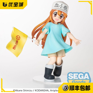 日版正品 世嘉 sega工作细胞 白血球 白细胞 血小板 景品手办现货