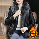 海宁2025秋冬加绒加厚皮衣外套女带毛领上衣 寒冷地区专属