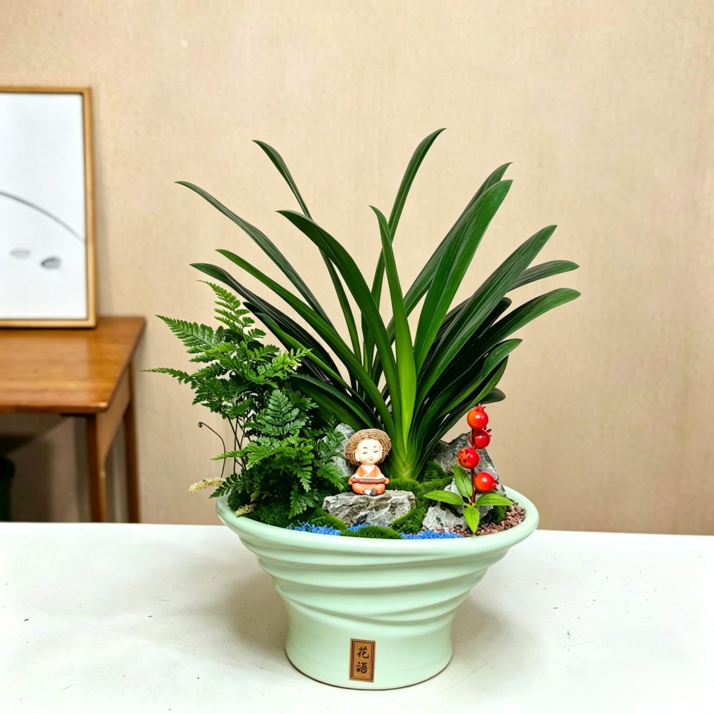 西安花卉绿植罗汉松盆栽簕竹室内客厅办公室桌面君子兰好养绿植