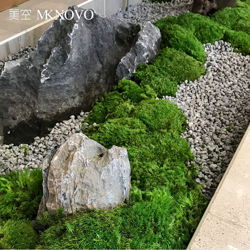 美空700/永生苔藓微景观仿真假植物装饰日式庭院白发藓枯山水造景