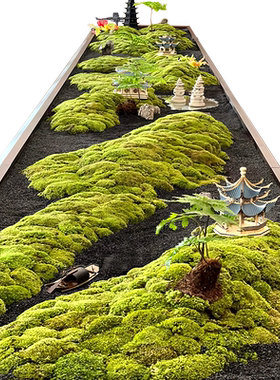 美空花舍长条桌永生苔藓摆件绿植