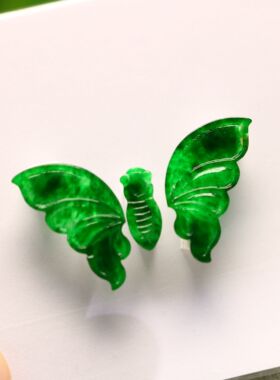#H423老坑冰种满绿天然A货翡翠大蝴蝶翅膀 镶嵌胸针吊坠裸石