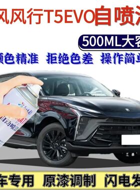 东风风行T5EVO专用自喷漆星耀黑色划痕修复手喷漆皓月白玛瑙红