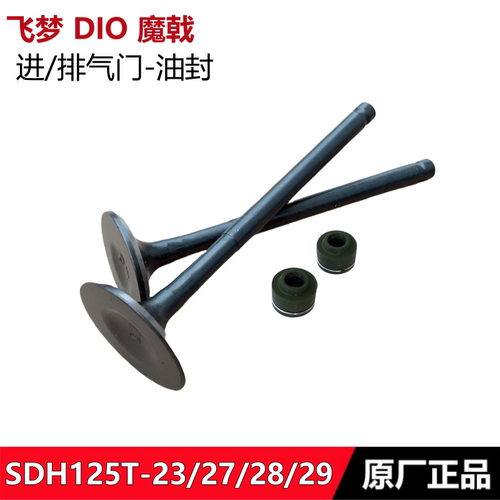 飞梦迪奥DIO魔戟进气门排气门