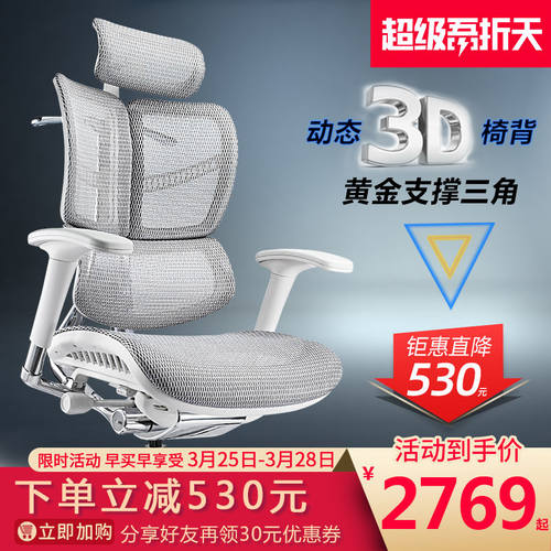 Ergomax Evolution电脑椅人体工学椅家用电竞椅办公椅椅子靠背椅