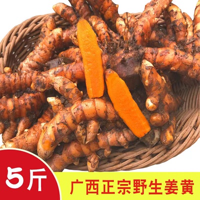 金约新鲜广西姜黄香料现挖