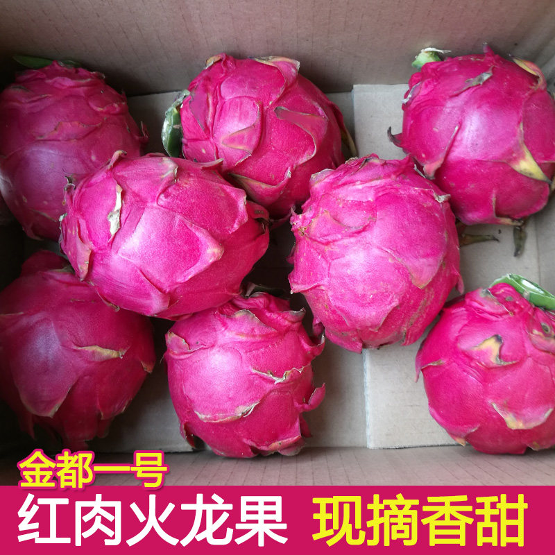现摘5斤海南红心火龙果 金都一号红肉中大果新鲜热带水果京都蜜宝39.80元包邮