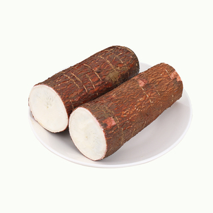 面包木薯新鲜广西10斤现挖白肉水晶农家土特产板栗番薯蜜薯包邮