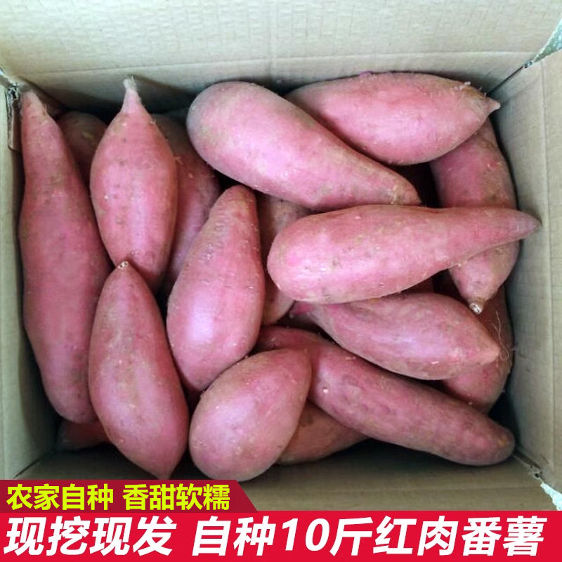 现挖5斤糖心蜜薯番薯红薯新鲜桂林山水农家自种红心地瓜香甜软糯,水产肉类/新鲜蔬果/熟食,番薯,淘宝优惠券,粉丝福利购,淘宝优惠卷