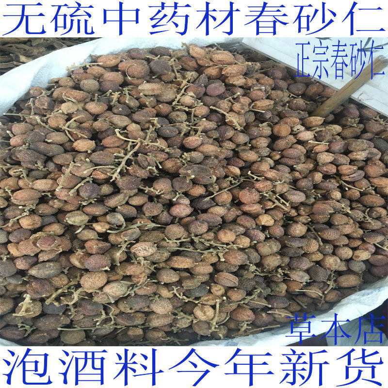 中药材春砂仁泡酒香料春砂仁沙仁果调味料一斤500克包邮