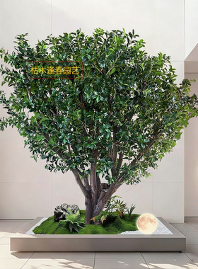 仿真茶树绿植假树盆景