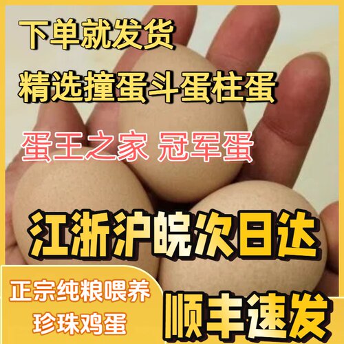 立夏蛋王之选江浙沪皖次日达