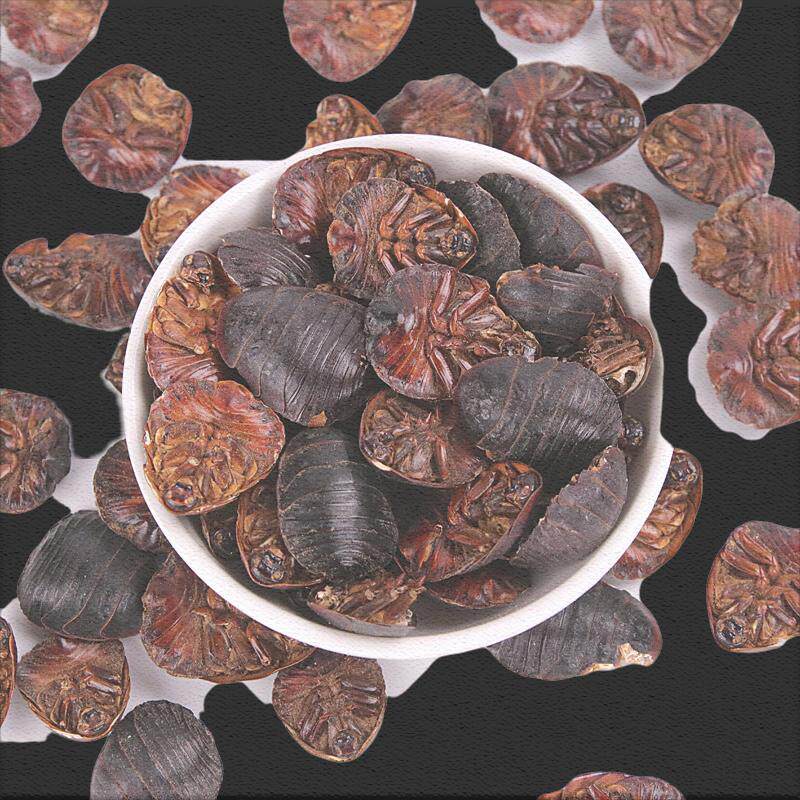 土元中药材天然新货农村乡下采收干货500g土鳖虫地鳖虫个大土元干