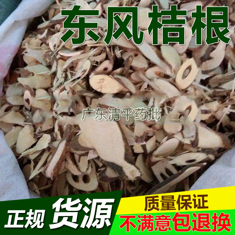 东风桔根金橘根中药材干货冷货新品500g克包邮洒饼簕狗骨簕山桔簕