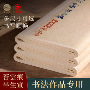 红星竹雪忆四尺整张四尺对开半生熟宣纸书法专用毛笔练习纸作品专