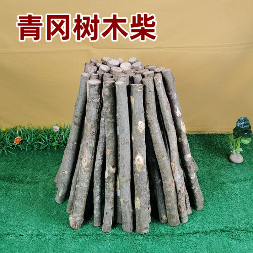 青冈树篝火木柴耐烧篝火烧烤制炭