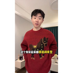 网图马年有钱毛衣男女冬季圆领内搭毛线衣针织衫YM416-特P75图片