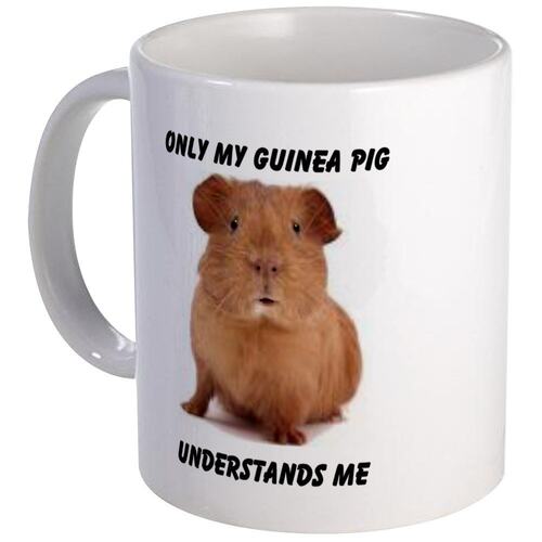 ONLY MY GUINEA PIG马克杯2018爆款咖啡杯包邮茶杯个性化定制杯