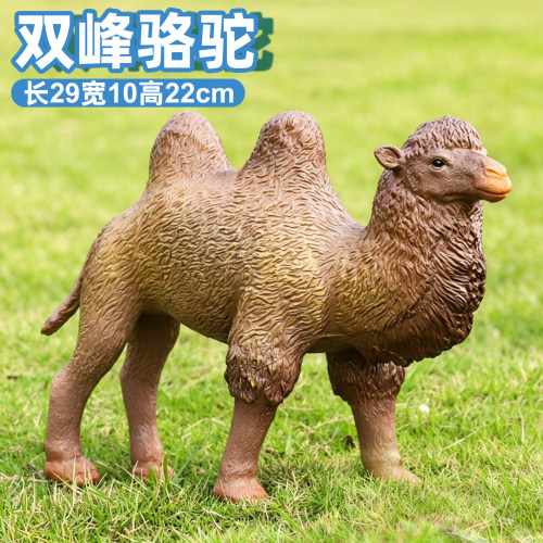 双峰骆驼模型仿真动物儿童玩具大号软胶充棉耐摔塑胶野生动物玩偶