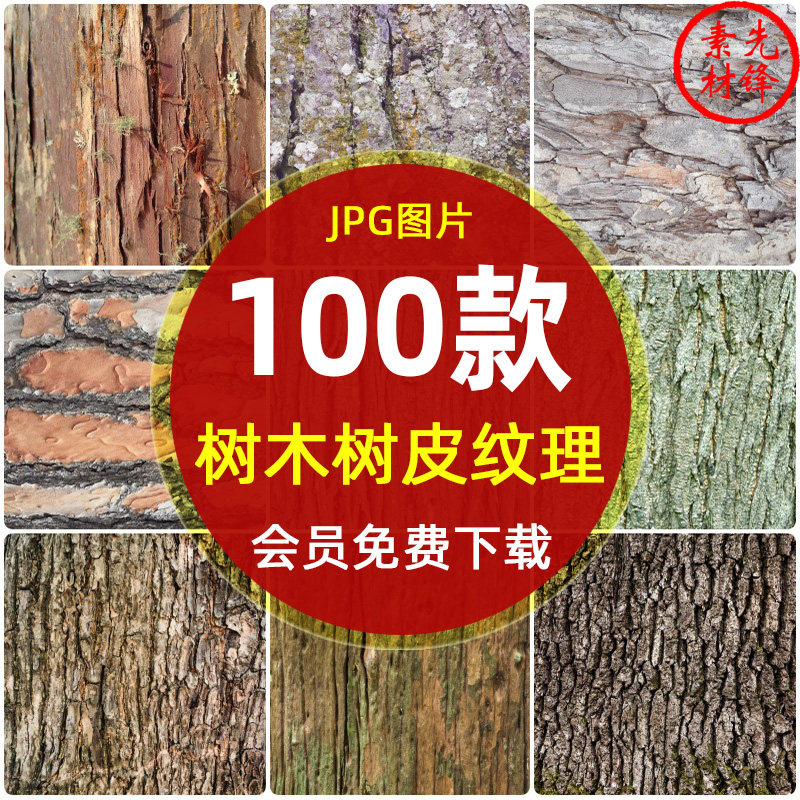 真实树木树皮纹理裂纹贴图jpg图片 高清树皮树森林木纹背景ps素材
