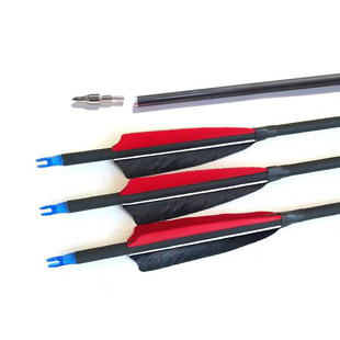 箭支户外弓箭玻纤混碳纯碳真羽传统美猎弓训练金属专业箭支反曲箭