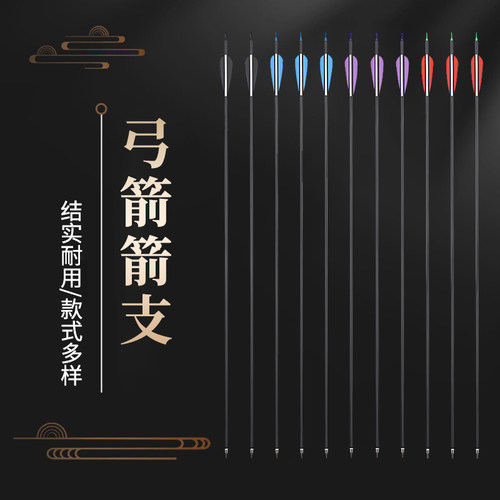 弓箭箭支箭真羽碳箭练习不锈钢制
