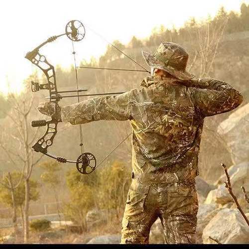 复合弓滑轮反曲威力大