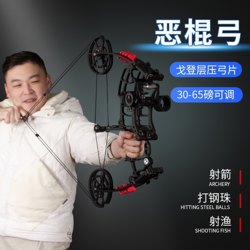 两用复合弓钢珠弓箭户外射箭