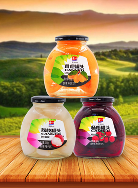 紫山水果罐头福建杨梅罐头枇杷罐头485g*3罐玻璃瓶装即食糖水罐头