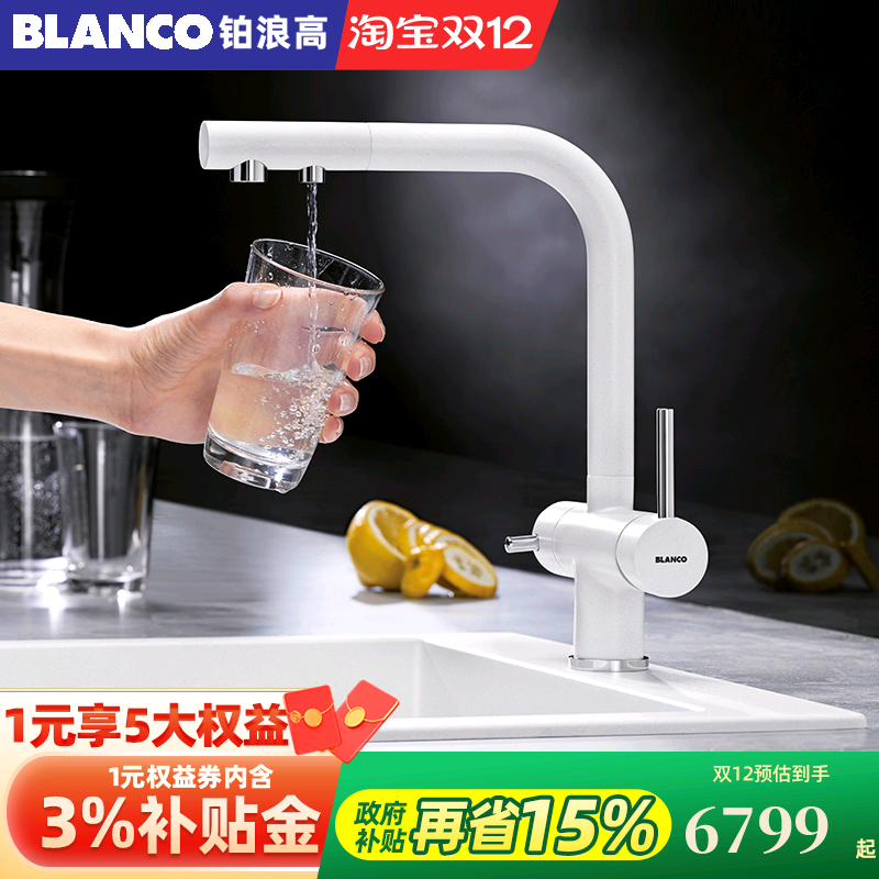 铂浪高厨房水龙头双出水净水