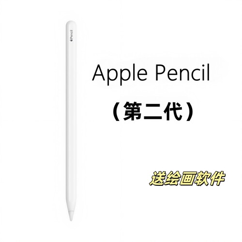 Apple/苹果 pencil 二代笔 原装手写笔平板电脑压感绘画笔2代