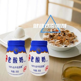 新品 老酸奶252g生牛乳低温发酵原味 蒙古大草原优质奶源传统