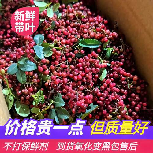 四川雅安汉源清溪新鲜红花椒非大红袍空运急速包邮特麻特香贡椒
