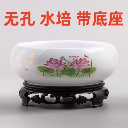 大号铜钱草花盆陶瓷水仙花盆睡莲碗莲绿萝无孔金钱清仓水培专用盆