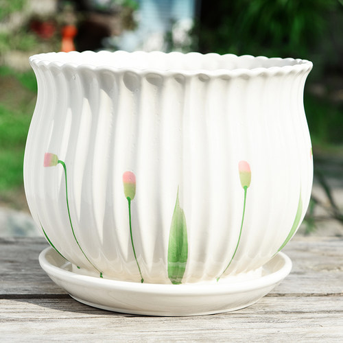 花盆特大号带托盘绿萝