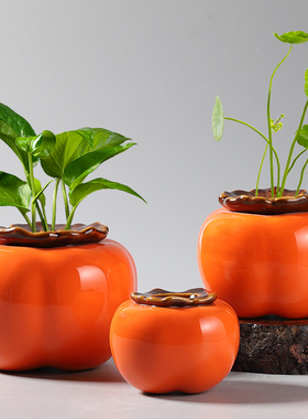 创意容器植物水养客厅小摆件花瓶