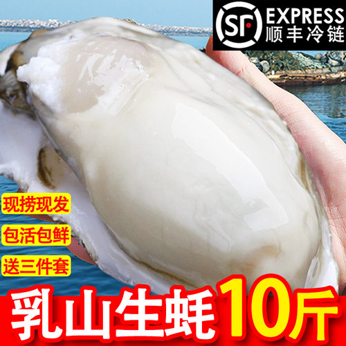 惠蚝乳山生蚝整箱10斤鲜活批发