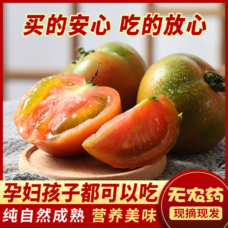 正宗铁皮柿子孕妇草莓西红柿绿腚番茄碱地油柿子大连东北特产水果