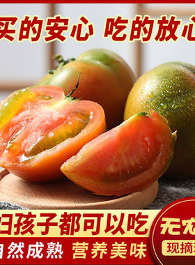 东北绿色水果铁皮柿子