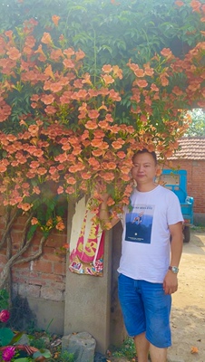 大规格庭院花卉爬藤植物大花中华凌霄花倒挂金钟种植耐寒耐热造景
