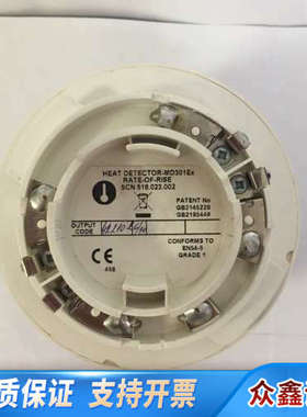 THORN MD 300 Ex 516.023.002 热探