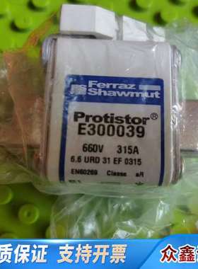 E300039 660B  315A   2个  熔断器