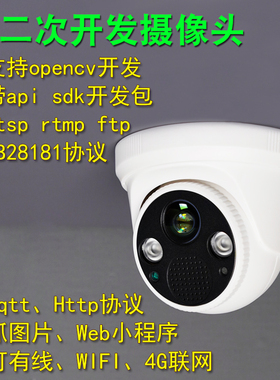 opencv摄像头gb28181监控rtmp推流rtsp摄影头api二次开发sdk协议