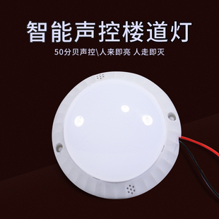 智能感应LED吸顶灯楼梯过道入户走廊红外人体雷达感应声光控灯具