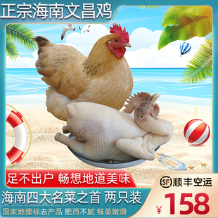 正宗海南特产文昌鸡新鲜本地走地鸡母土鸡农家散养椰子鸡整只2只