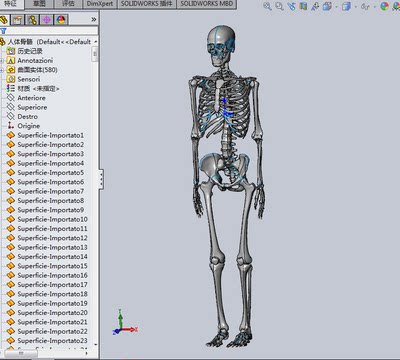 非常完整的人体骨骼3D模型图纸 solidworks设计